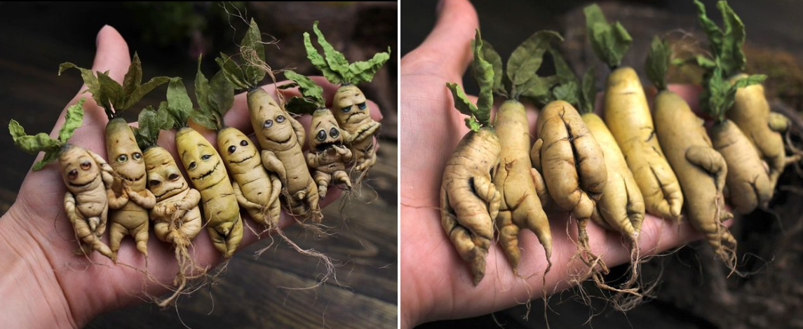 [manufruktura] [Лепка] Мастер-класс _Живой корешок_0.png